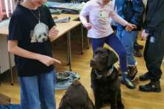 340697ba-6353-4b84-aa41-edab391cf47b