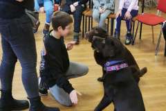 983bfc3c-dc33-49da-a78f-fc323fa93478