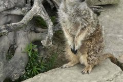 30d96649-396e-4a9a-a2e6-584787868157