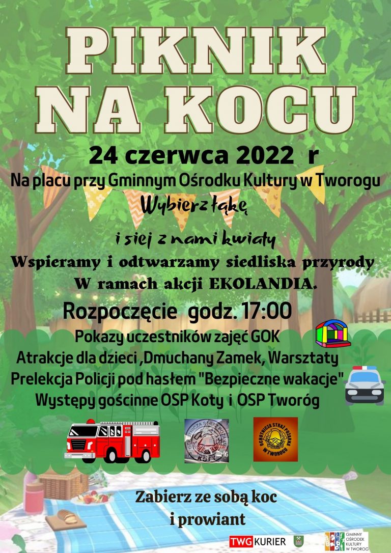 Plakat piknik