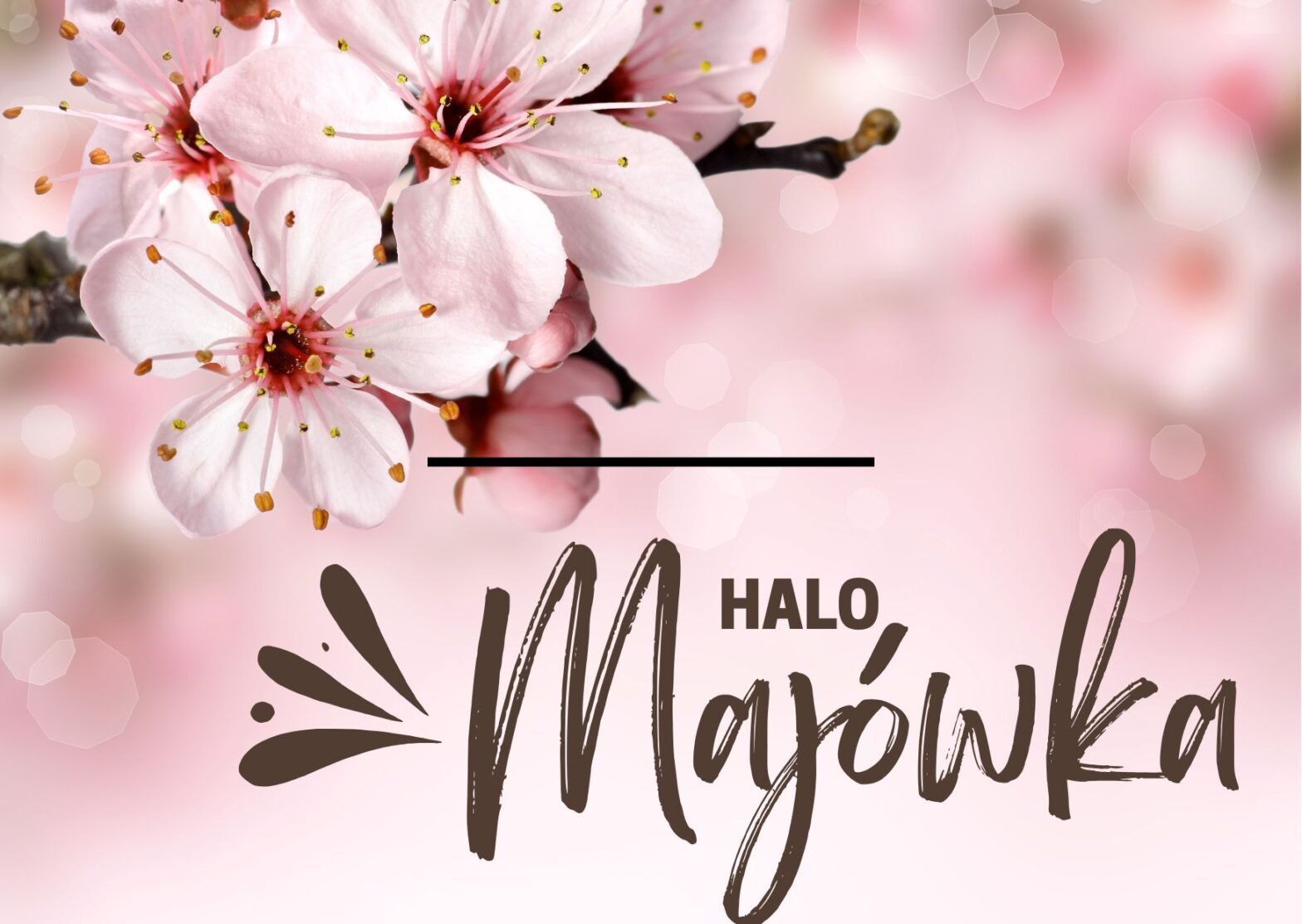 Różowe tło, Kwiaty kwitnącej wiśni, Halo!, Majówka.