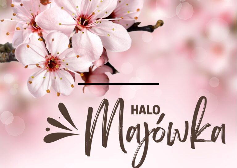 Różowe tło, Kwiaty kwitnącej wiśni, Halo!, Majówka.