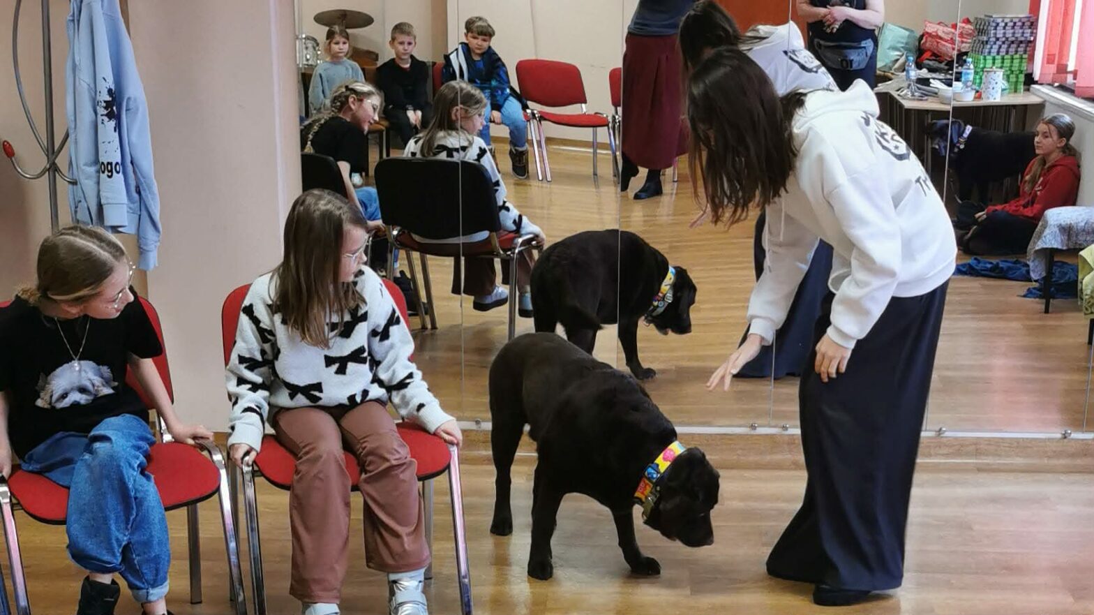 Na zdjęciu brązowy labrador w sali z dziecmi dziewczynka siedzi na krzesle, druga dziewczynka głaszcze psa